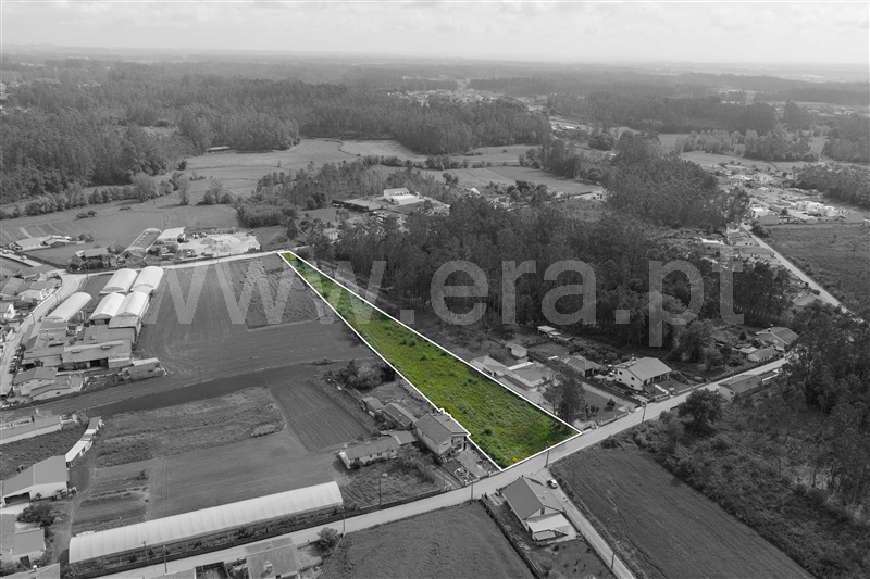 Terreno para Construção / Oliveira de Azeméis, São Martinho da Gândara