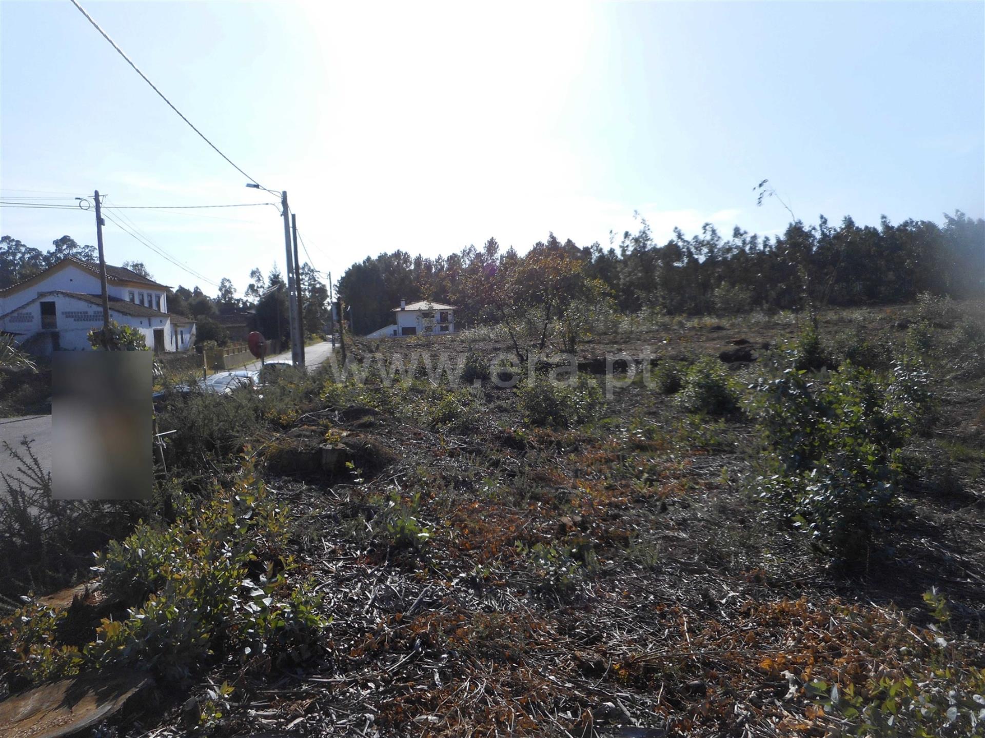 Land for sale in Oliveira de Azeméis, Portugal — €60,000