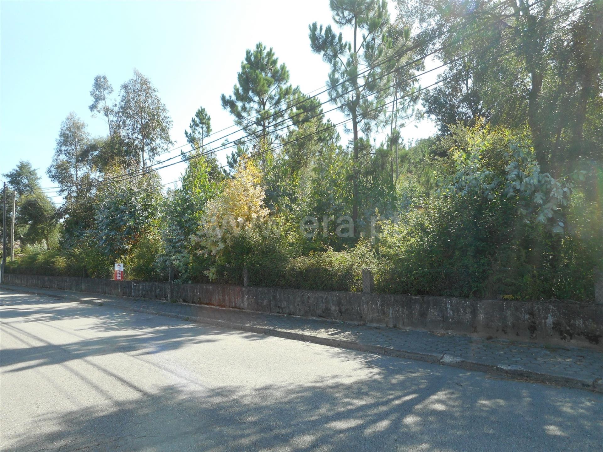 Land for sale in Oliveira de Azeméis, Portugal — €115,000