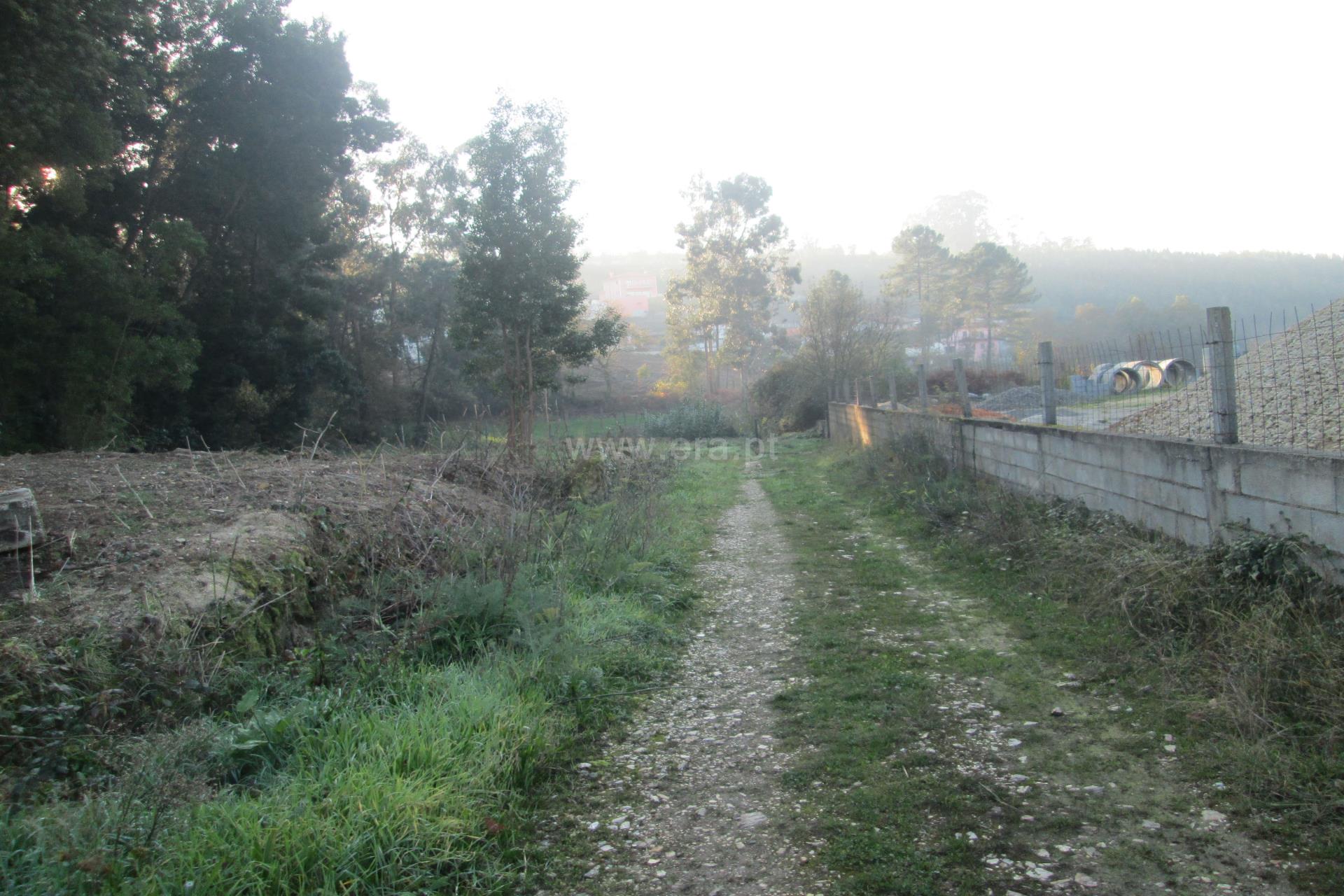 Land for sale in Oliveira de Azeméis, Portugal — €85,000