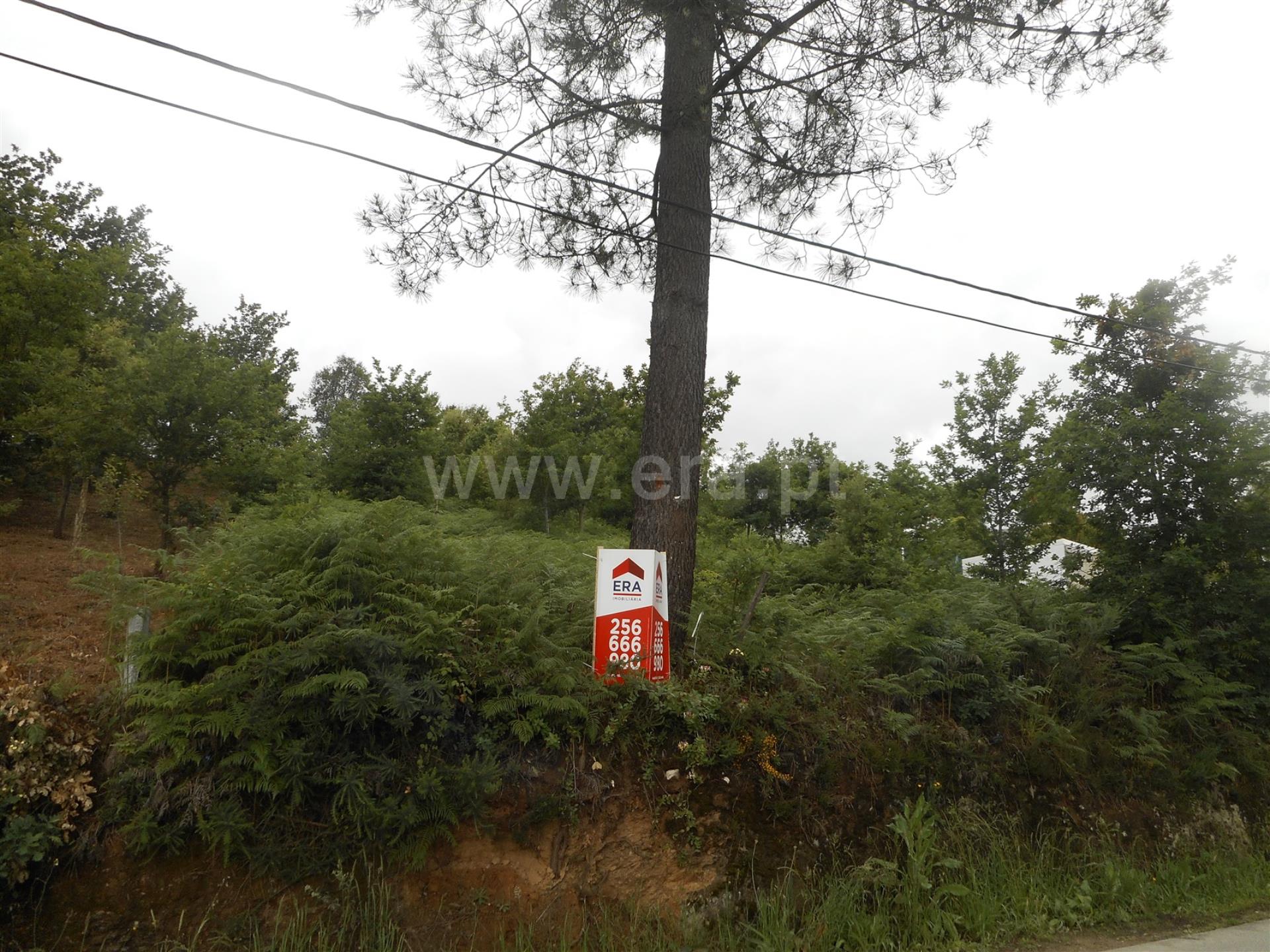 Land for sale in Oliveira de Azeméis, Portugal — €94,000