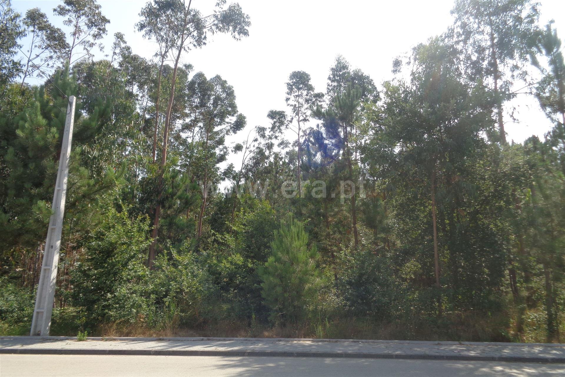 Land for sale in Oliveira de Azeméis, Portugal — €280,000