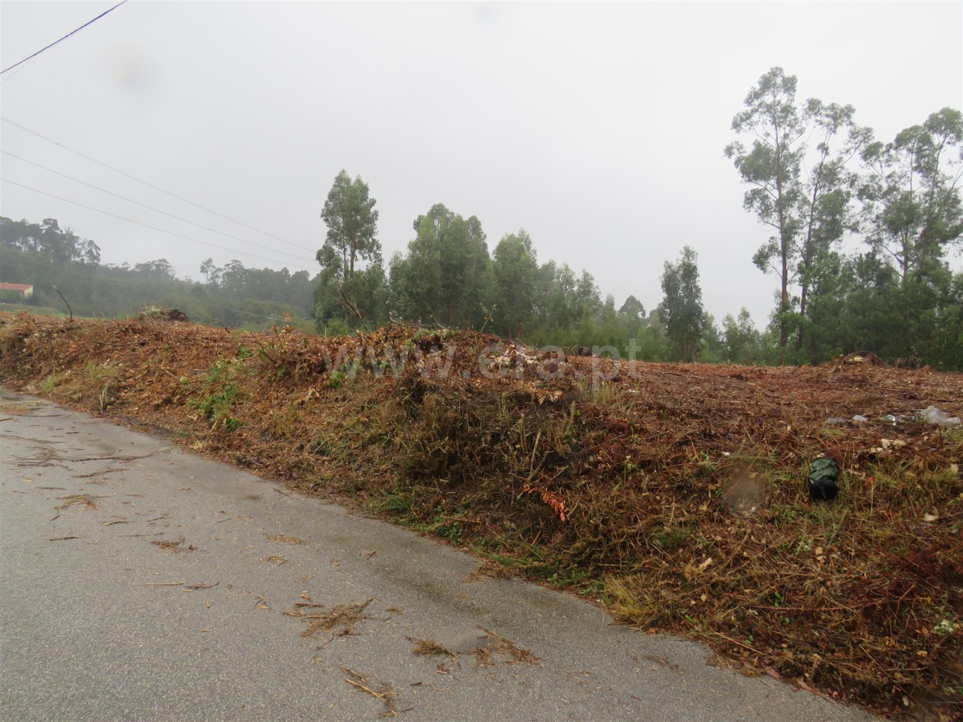 Land for sale in Oliveira de Azeméis, Portugal — €90,000