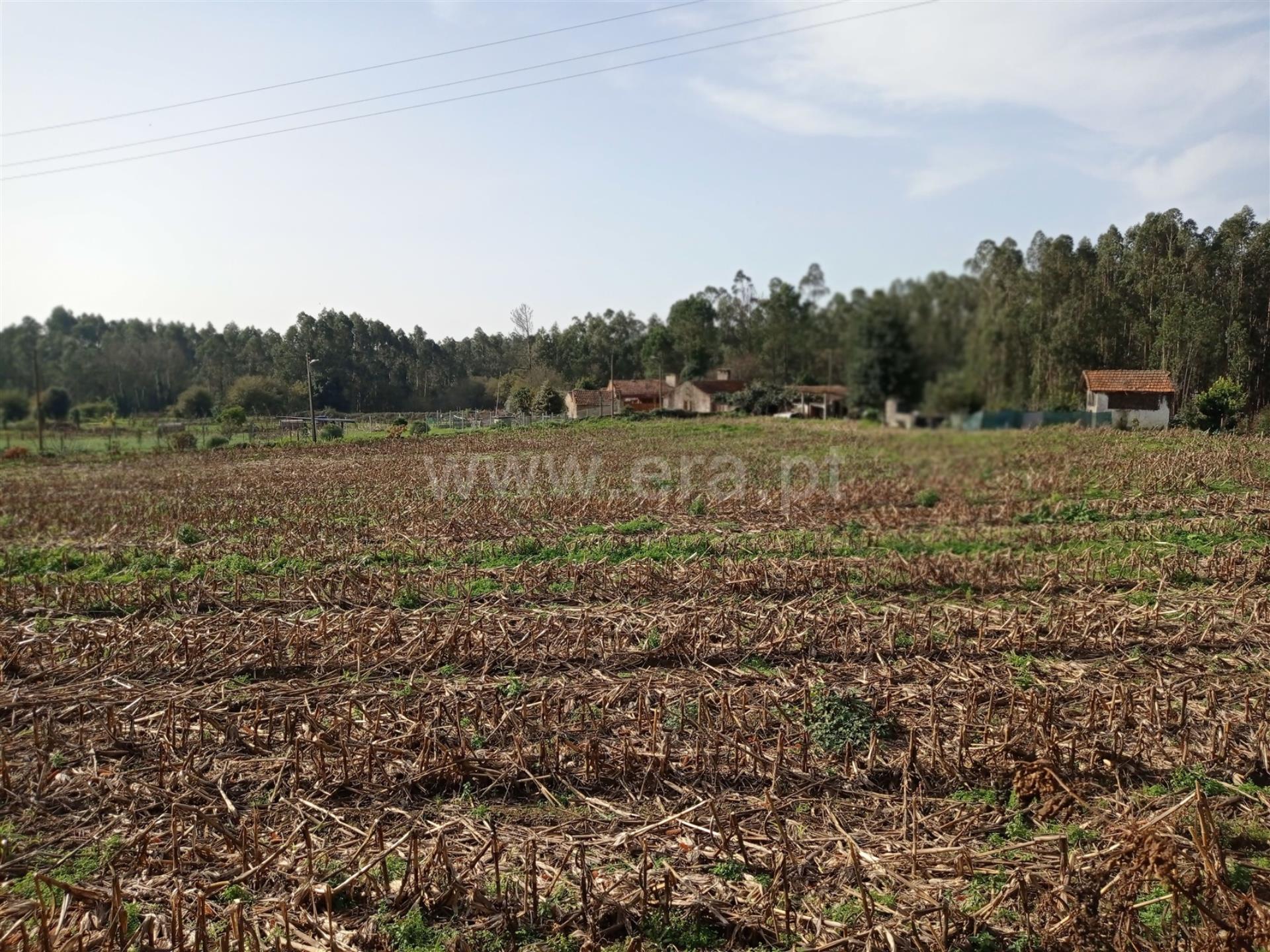Land for sale in Oliveira de Azeméis, Portugal — €270,000