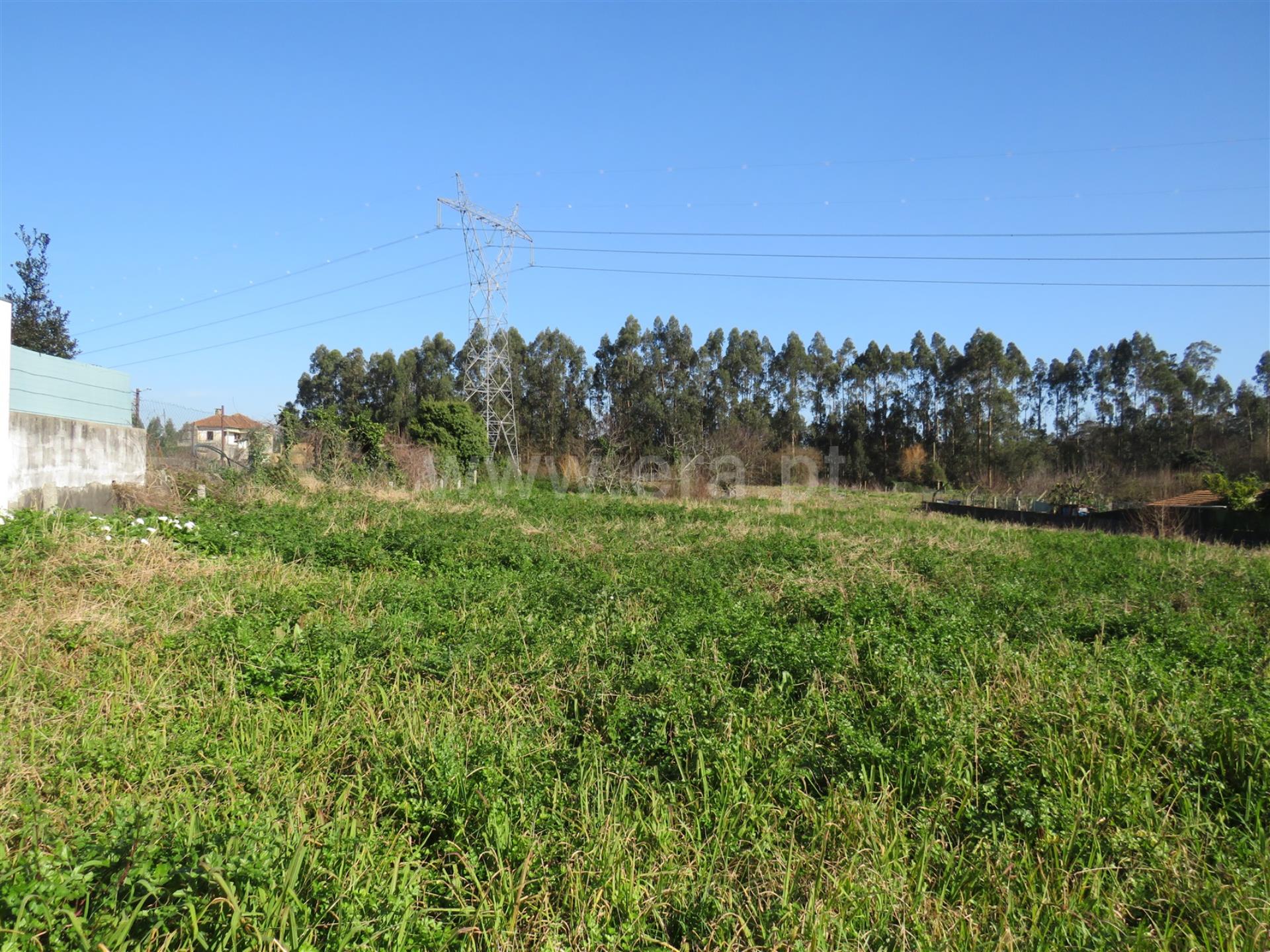 Land for sale in Oliveira de Azeméis, Portugal — €57,500