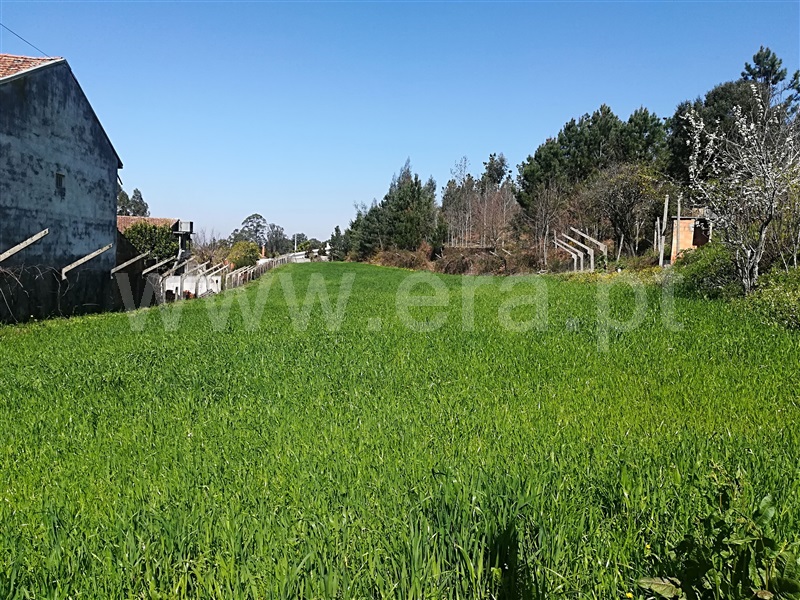 Terreno para Construção / Oliveira de Azeméis, Vila de Cucujães
