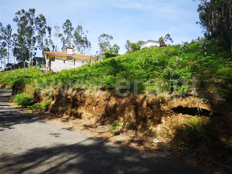 Terreno para Construção / Oliveira de Azeméis, Vila de Cucujães