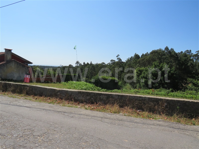 Terreno para Construção / Oliveira de Azeméis, Vila de Cucujães