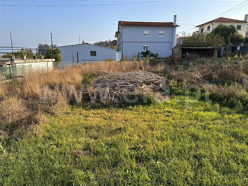 Terreno para Construção / Oliveira de Azeméis, Vila de Cucujães