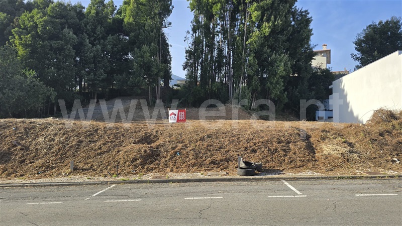Terreno para Construção / Oliveira de Azeméis, Vila de Cucujães