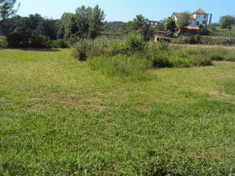 Terreno para Construção / Oliveira de Azeméis, Vila de Cucujães