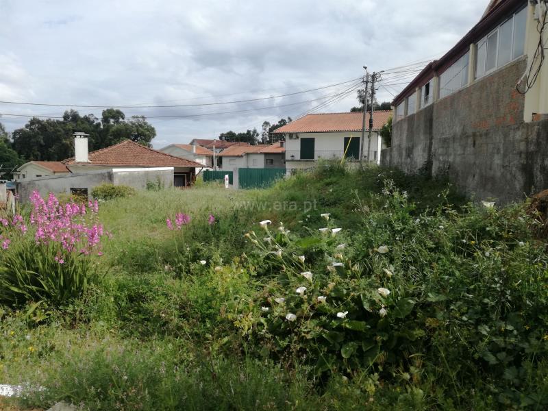 Terreno para Construção / Oliveira de Azeméis, Vila de Cucujães