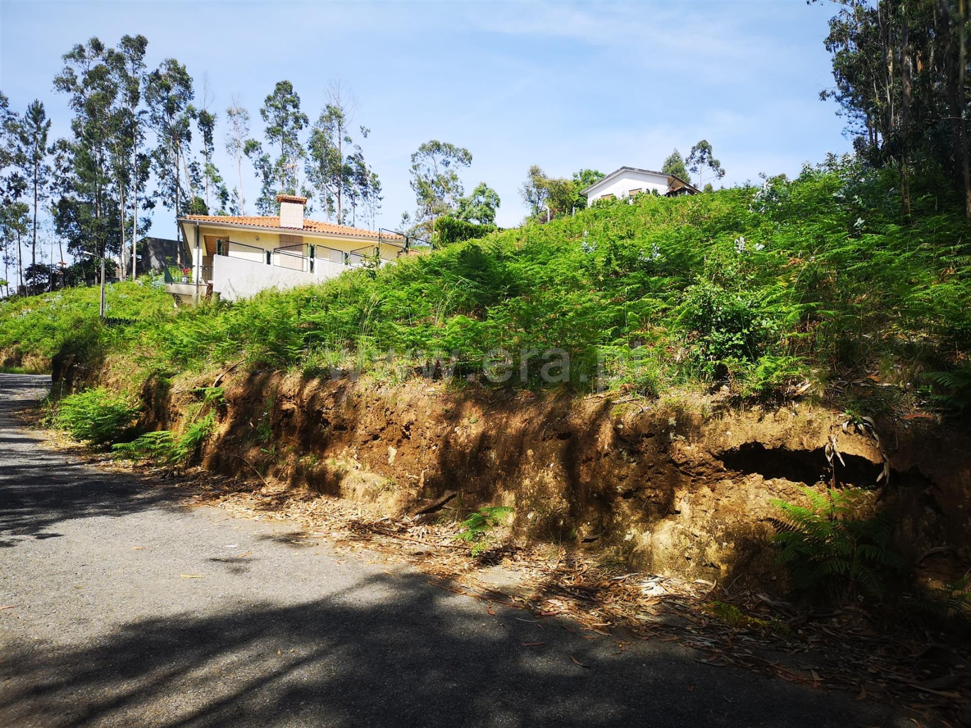 Terreno em Oliveira de Azeméis