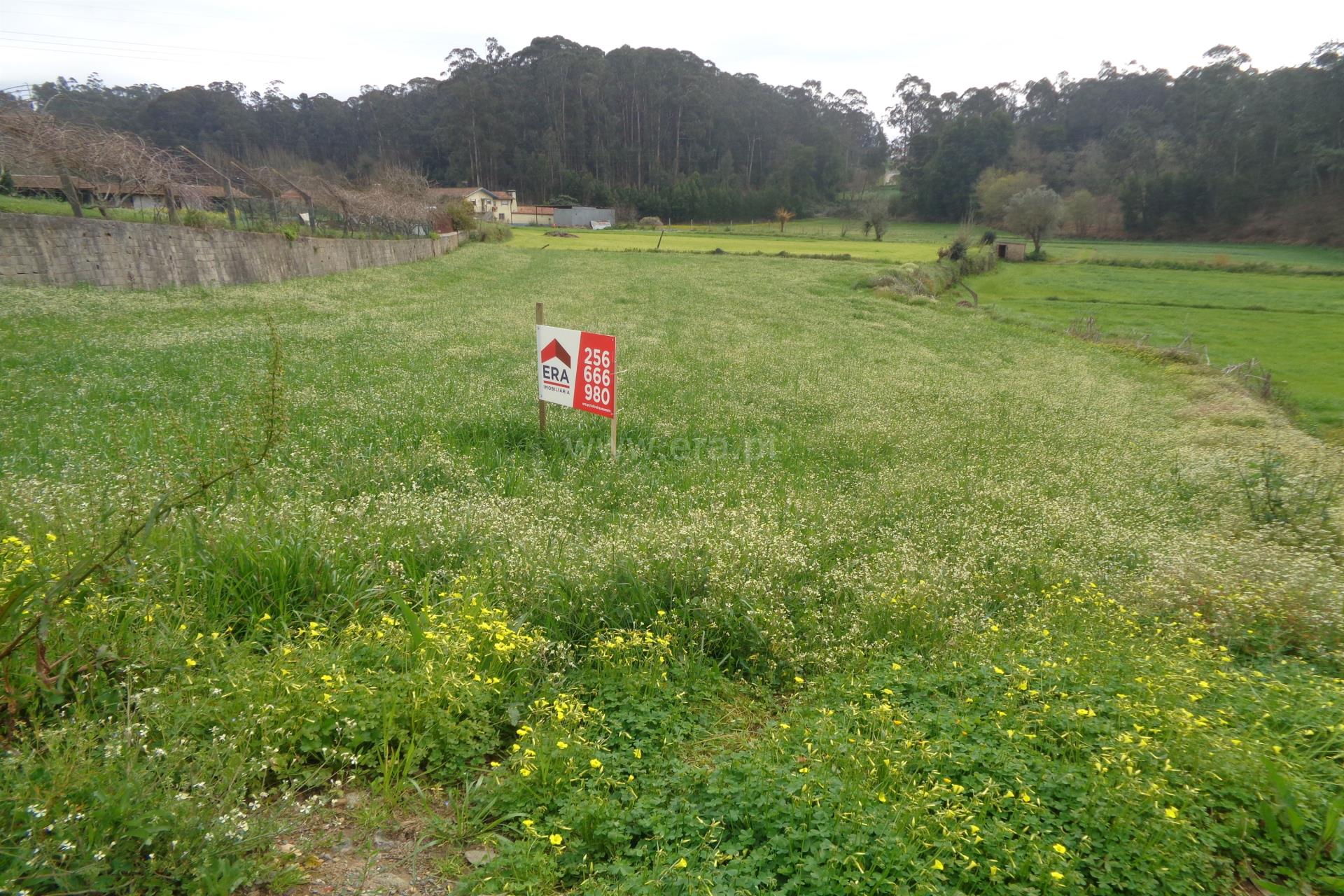 Land for sale in Oliveira de Azeméis, Portugal — €67,000