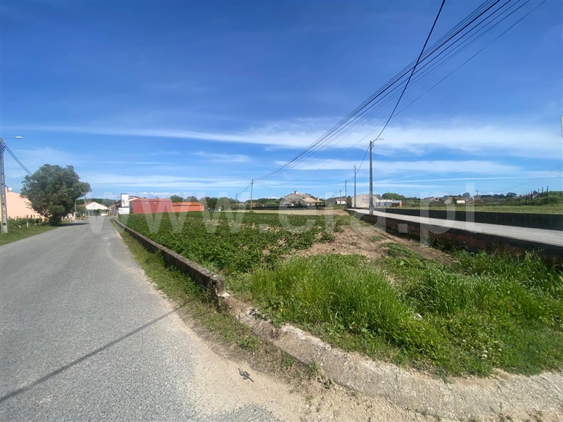Terreno para Construção / Oliveira do Bairro, Bustos, Troviscal e Mamarrosa