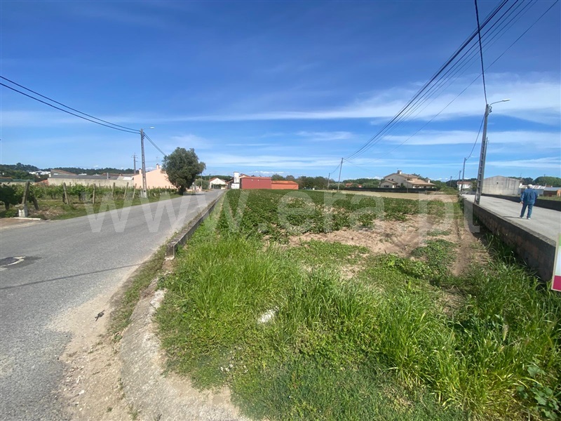 Terreno para Construção  Oliveira do Bairro, Bustos, Troviscal e Mamarrosa - 1403016 - 3