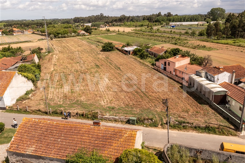 Terreno para Construção / Oliveira do Bairro, Bustos, Troviscal e Mamarrosa