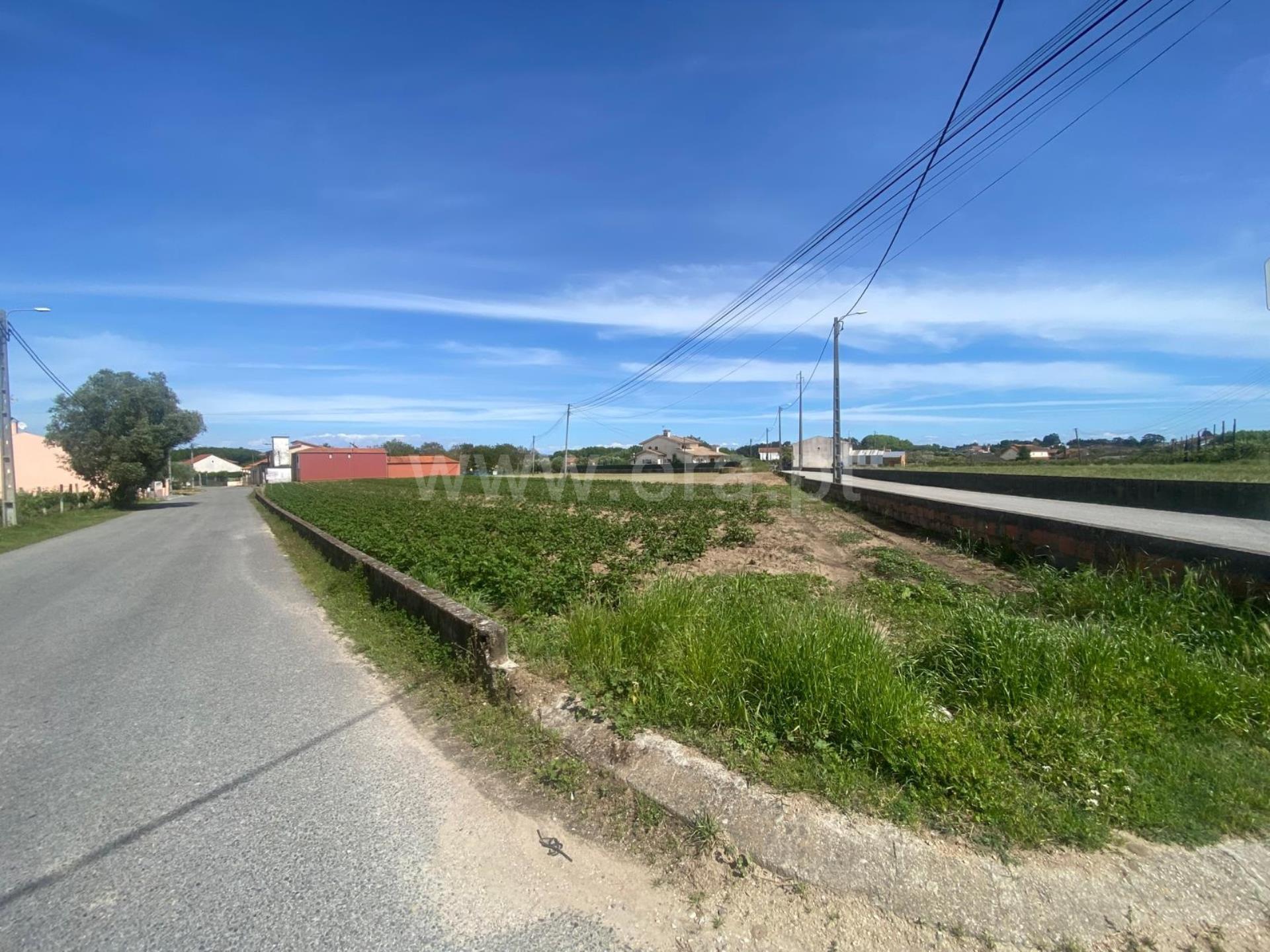 Land for sale in Oliveira do Bairro, Portugal — €98,000