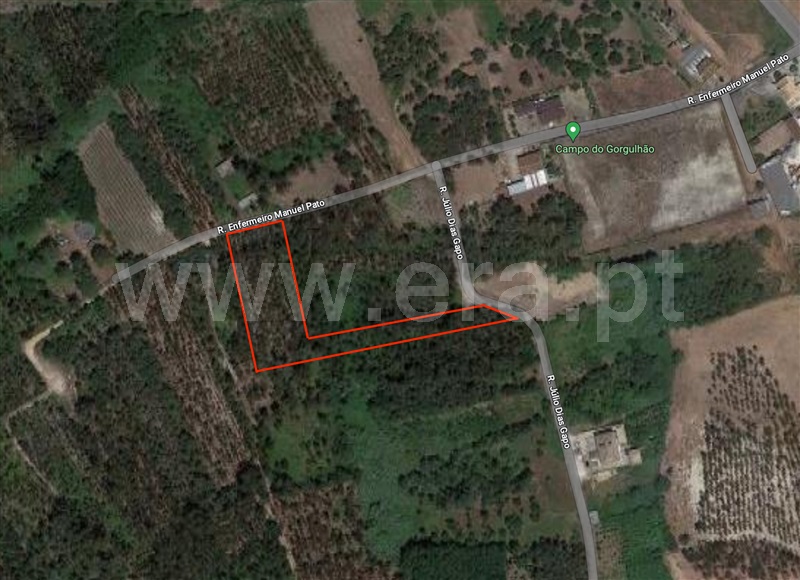 Terreno para Construção / Oliveira do Bairro, Mamarrosa
