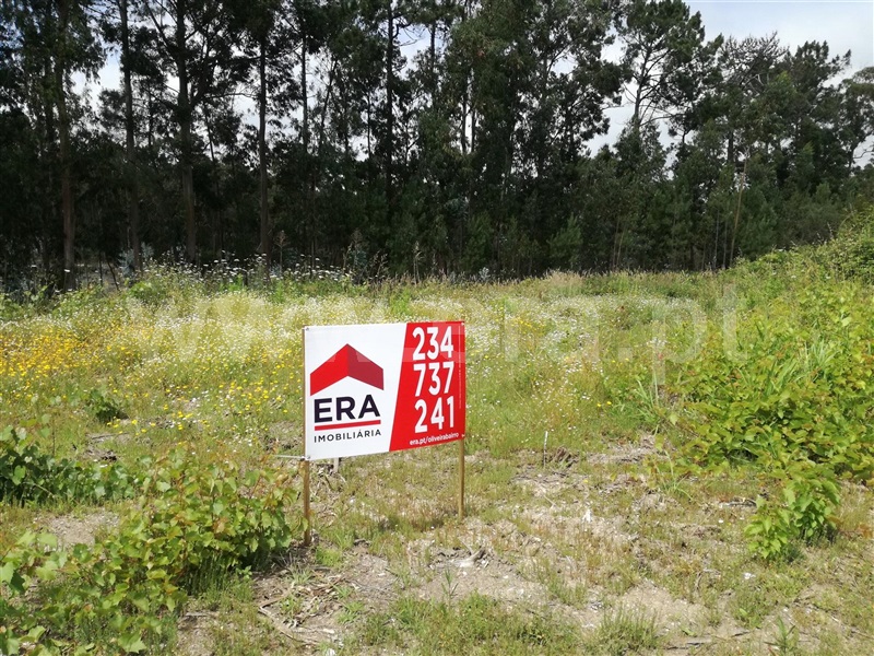 Terreno para Construção / Oliveira do Bairro, Oiã