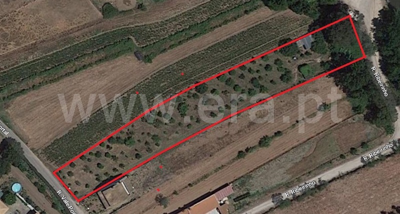 Terreno para Construção / Oliveira do Bairro, Oiã