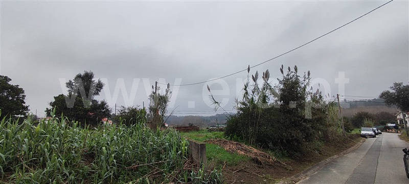 Terreno  Oliveira do Bairro, Vila Verde - 1368233 - 5