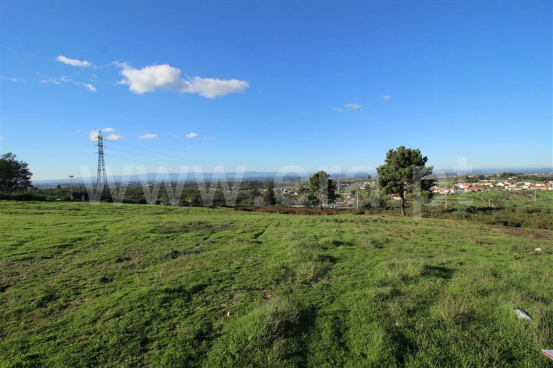 Terreno para Construção / Oliveira do Hospital, Oliveira do Hospital e São Paio de Gramaços