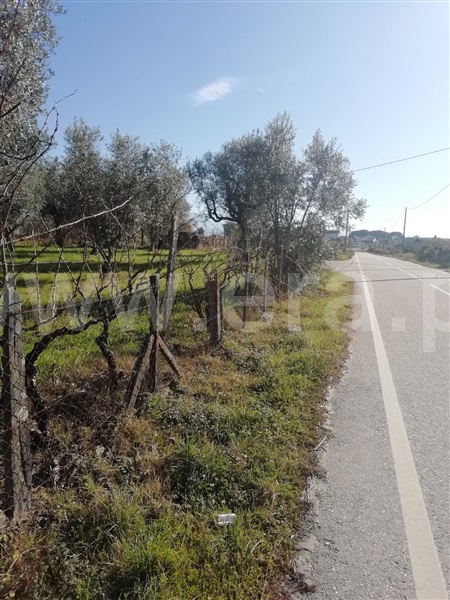 Terreno Rústico / Oliveira do Hospital, Seixo da Beira