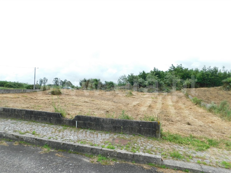 Terreno para Construção / Oliveira do Hospital, Travanca de Lagos