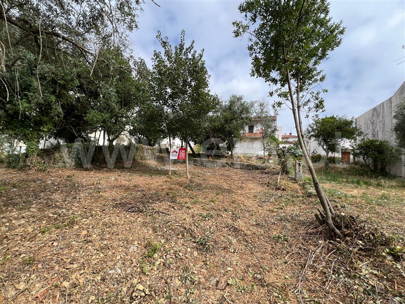 Terreno para Construção  Oliveira do Hospital, Zona Histórica - 1483943 - 4