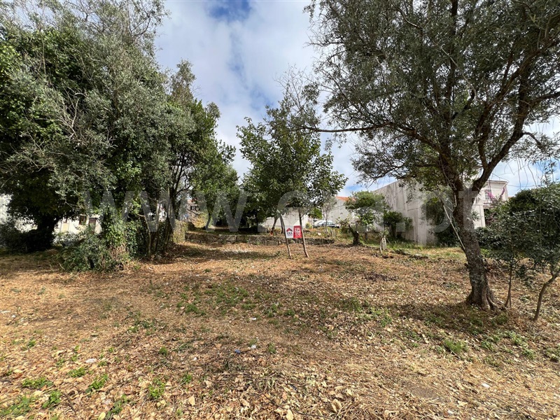 Terreno para Construção  Oliveira do Hospital, Zona Histórica - 1483943 - 4