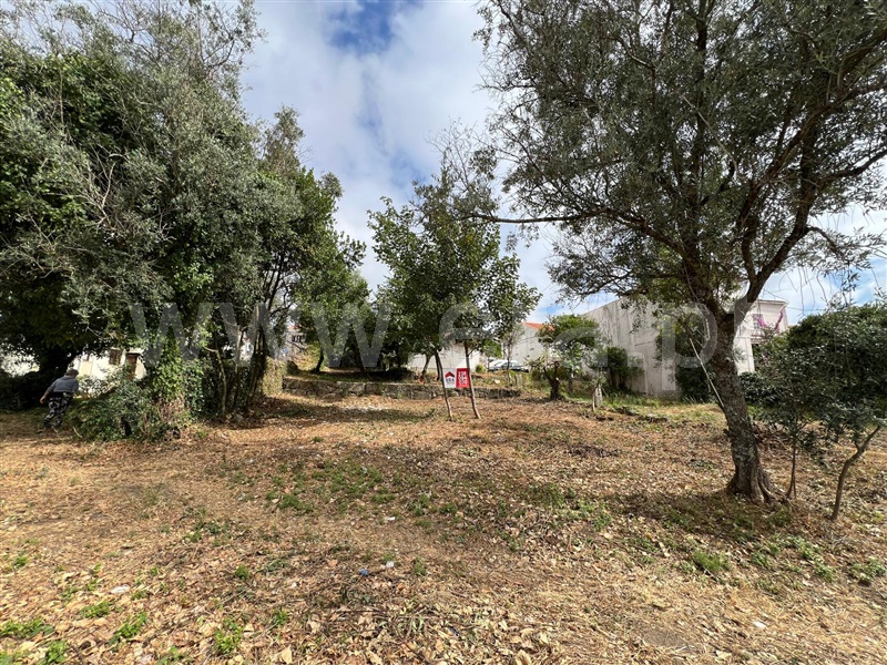 Terreno para Construção  Oliveira do Hospital, Zona Histórica - 1483943 - 6