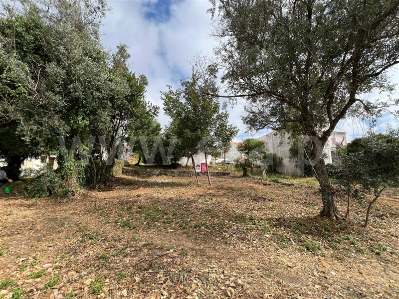 Terreno para Construção  Oliveira do Hospital, Zona Histórica - 1483943 - 8