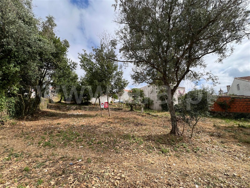 Terreno para Construção  Oliveira do Hospital, Zona Histórica - 1483943 - 9