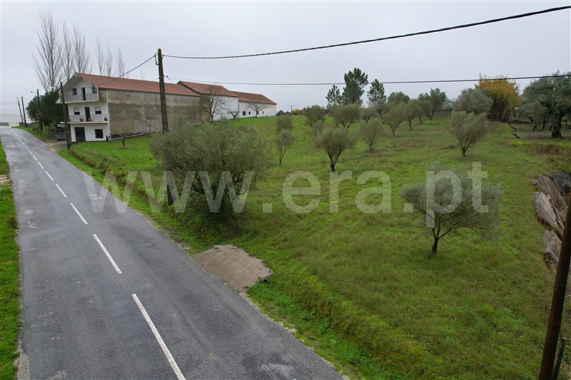 Terreno para Construção  com Urbano Ourém, Alburitel - 1290674 - 5