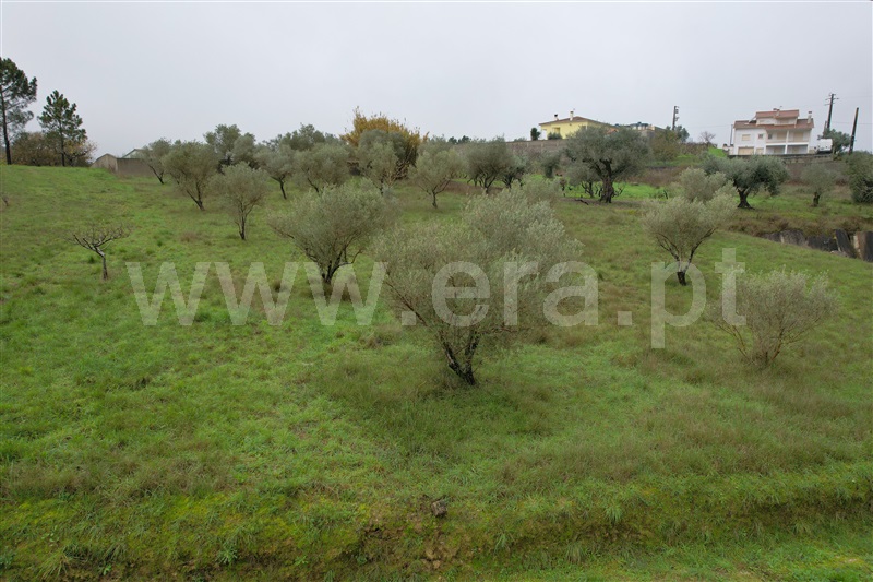 Terreno para Construção  com Urbano Ourém, Alburitel - 1290674 - 12