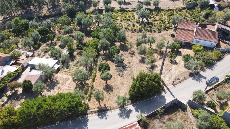 Terreno para Construção  Ourém, Alburitel - 1428218 - 5
