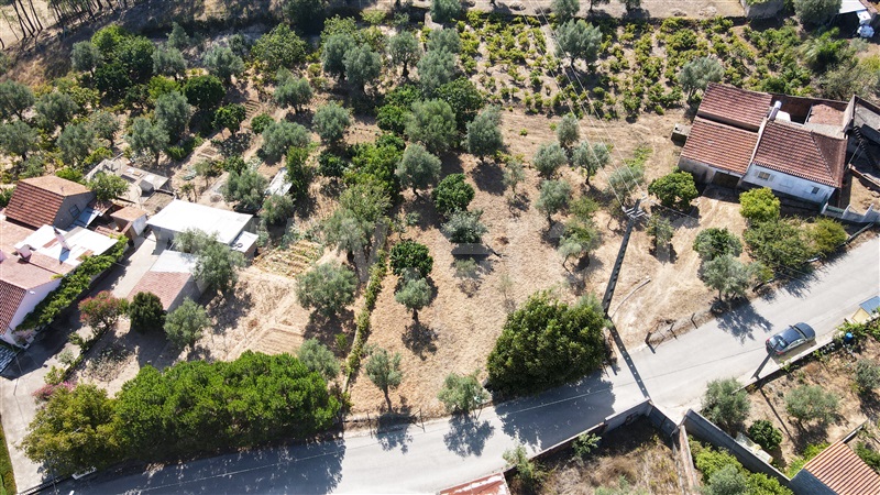 Terreno para Construção  Ourém, Alburitel - 1428218 - 6