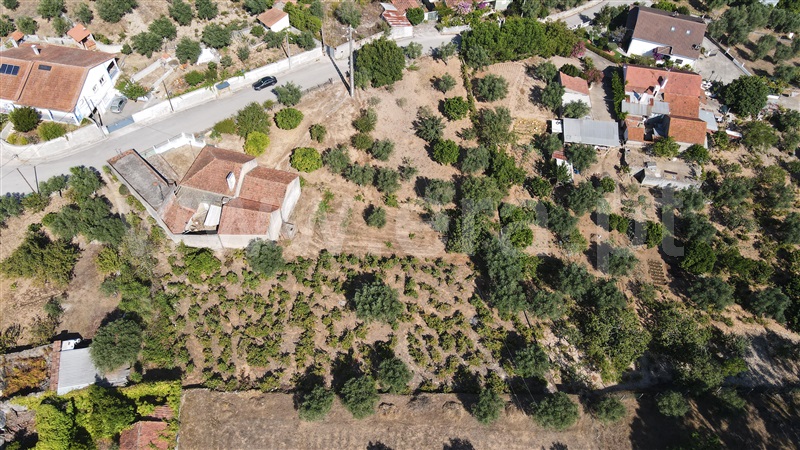 Terreno para Construção  Ourém, Alburitel - 1428218 - 9