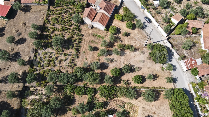 Terreno para Construção  Ourém, Alburitel - 1428218 - 10