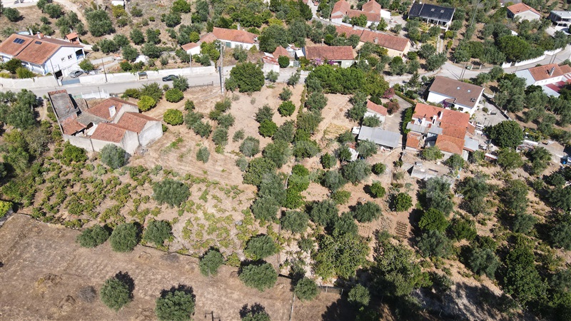 Terreno para Construção  Ourém, Alburitel - 1428218 - 19