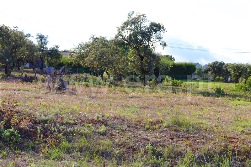 Terreno para Construção / Ourém, Atouguia