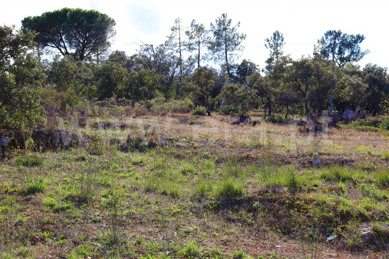 Terreno para Construção  Ourém, Atouguia - 1122795 - 2