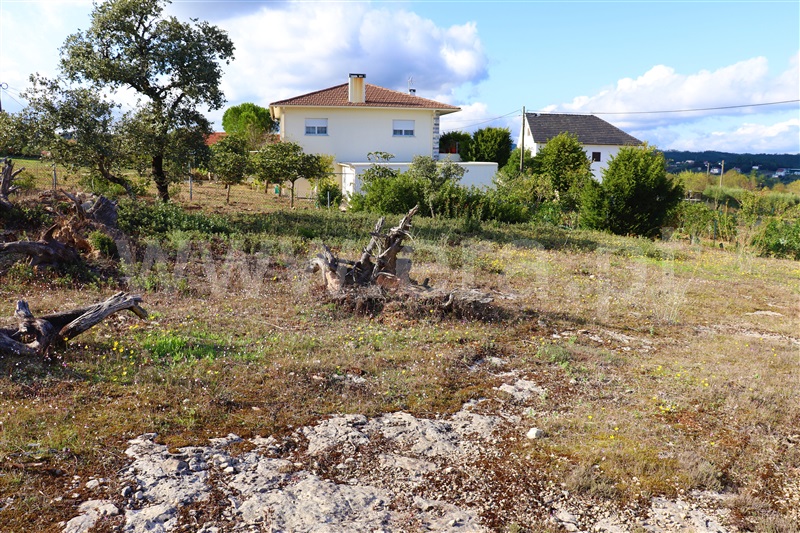 Terreno para Construção  Ourém, Atouguia - 1122795 - 4