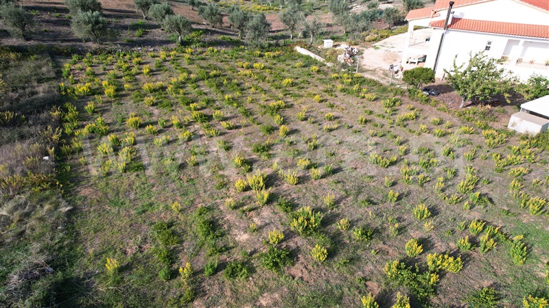 Terreno para Construção  Ourém, Atouguia - 1269808 - 10