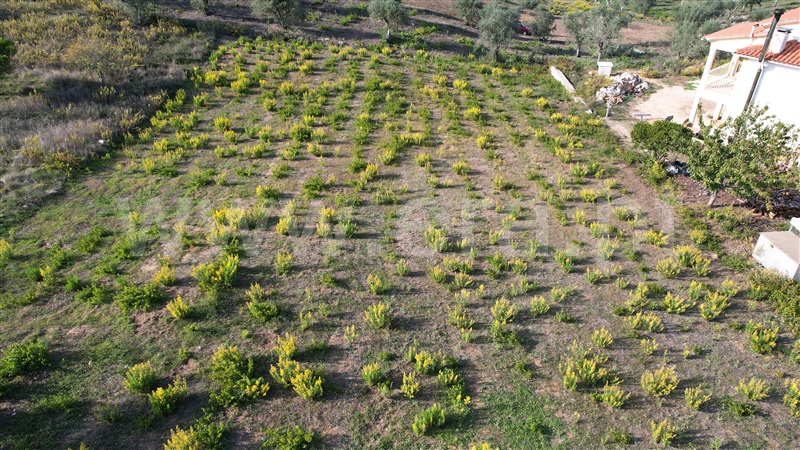 Terreno para Construção  Ourém, Atouguia - 1269808 - 11