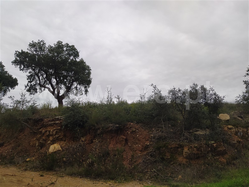 Terreno para Construção  Ourém, Atouguia - 1284000 - 6