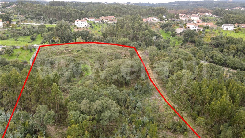 Terreno para Construção  Ourém, Atouguia - 1284000 - 14