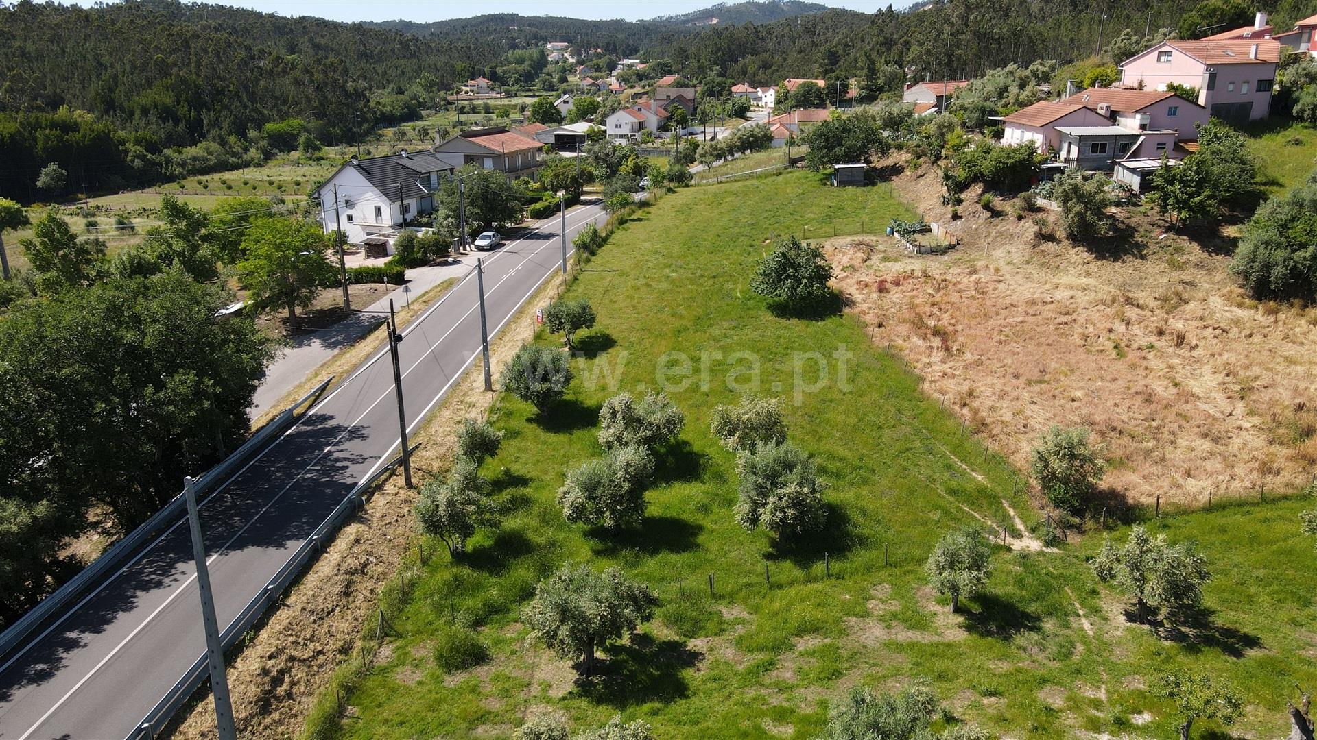 Terreno em Ourém