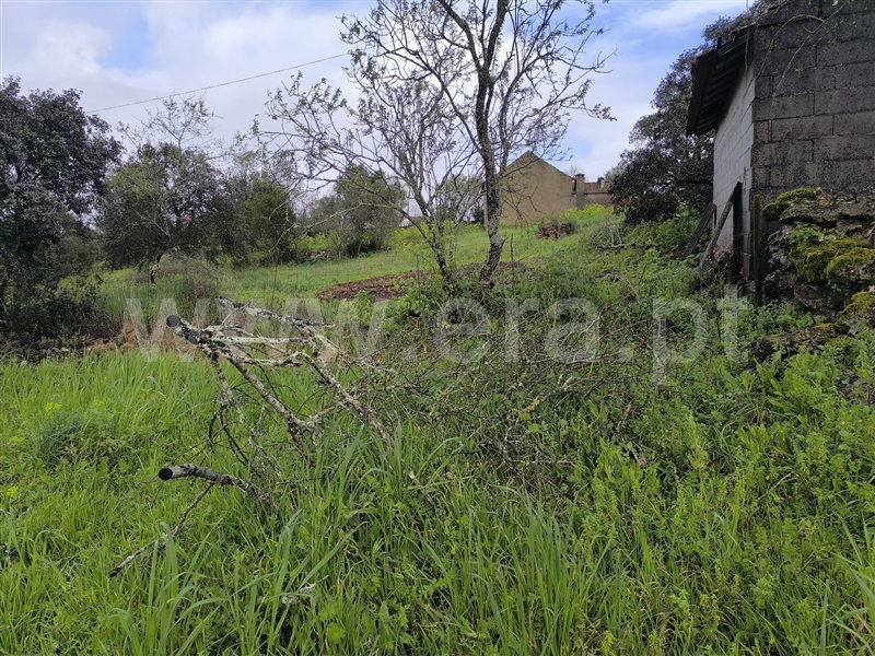 Terreno para Construção / Ourém, Caneiro - View 4